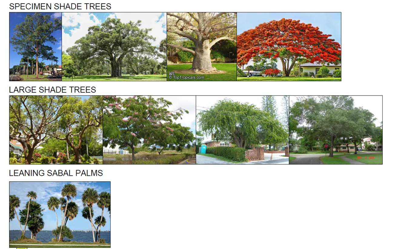 architectural-visualization-3d-rendering-services-exterior-cgi-miami-gardens-city-center